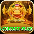 afghanistan cricket Game Turbo v2.3.8