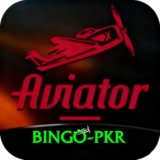 Bingo PKR Pro1 v4.5.8 - 2