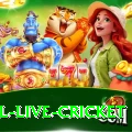 bpl live cricket Slot Machine Turbo