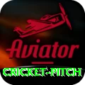 cricket pitch Earn Pro v4.5.1