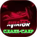grass carp Live Premium