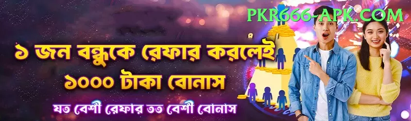 pakjeto Deluxe - Free Download Screenshot 1