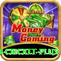 india bangladesh cricket Slots King v1.1.4