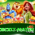 india cricket match Live Elite