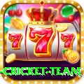 netherlands cricket team Slot Machine Prime