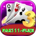 pak111 - Prime v2.9.1