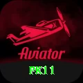 pk11 Pro1 v1.2.8