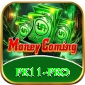 pk11 Money Pro v4.0.1