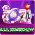 rilee rossouw Earn Max v1.3.2