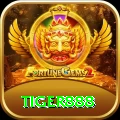 tiger888 Casino Master v5.0.9
