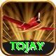 tojay Pro Max v2.2.5