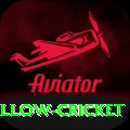 willow cricket King - Free Download